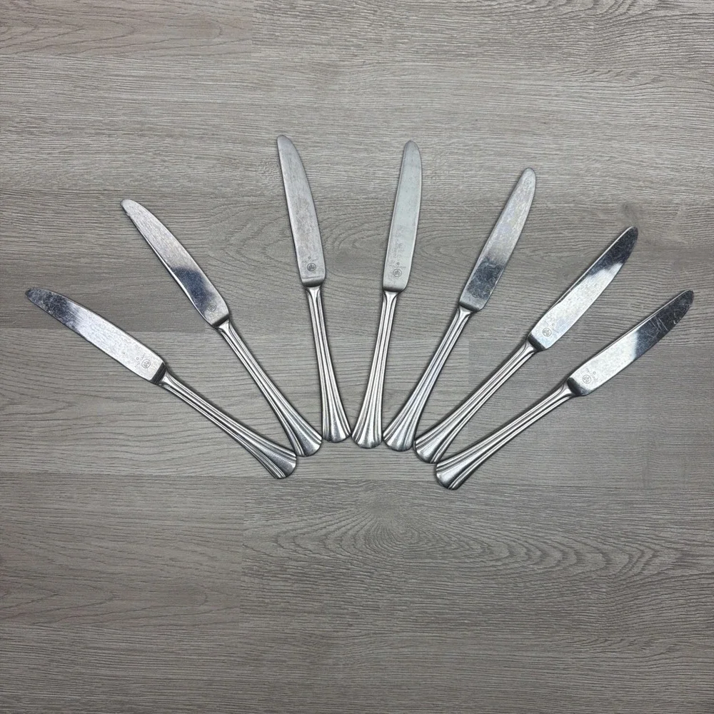 Pfaltzgraff Stainless Steel Dinner Knife Glossy Silverware Flatware Lot Of 7